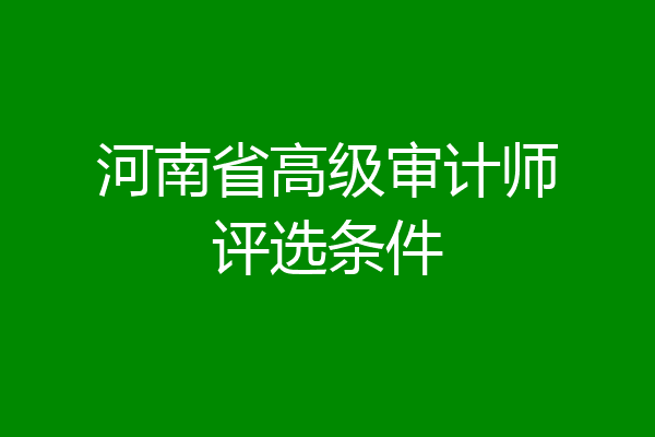 河南省高级审计师评选条件