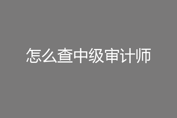 怎么查中级审计师