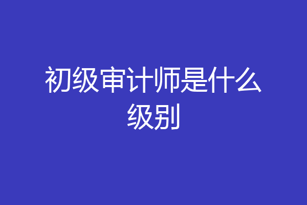 初级审计师是什么级别
