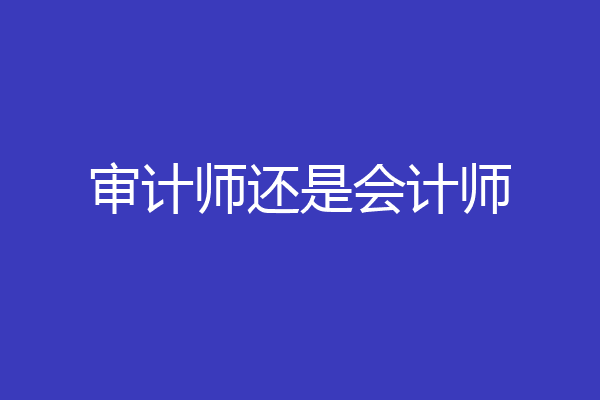 审计师还是会计师
