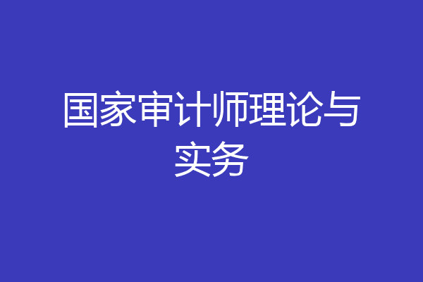国家审计师理论与实务