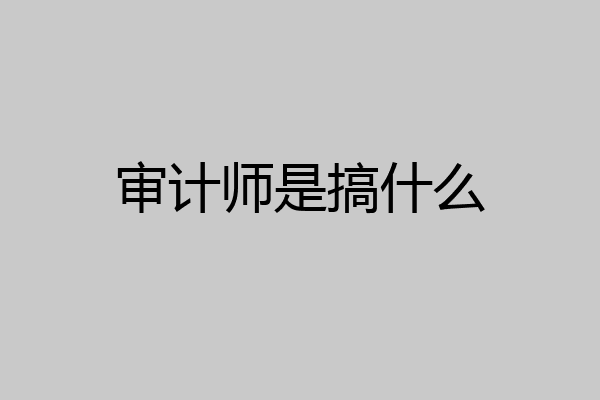 审计师是搞什么