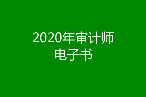 2020年审计师电子书