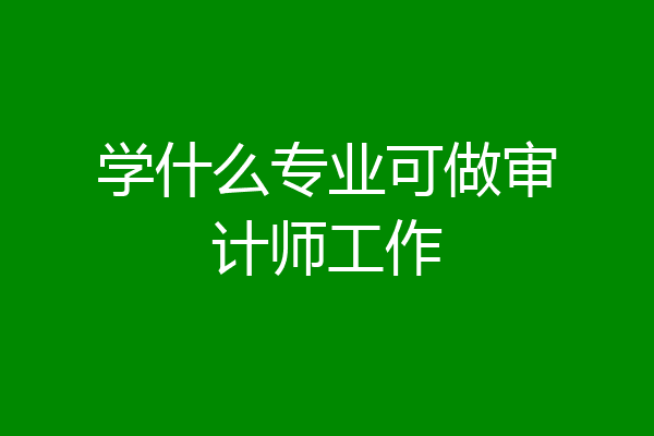 学什么专业可做审计师工作