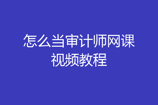 怎么当审计师网课视频教程