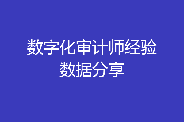数字化审计师经验数据分享
