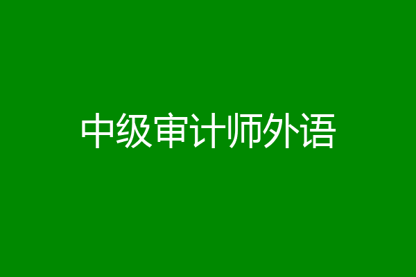 中级审计师外语