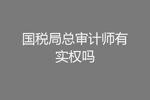 国税局总审计师有实权吗