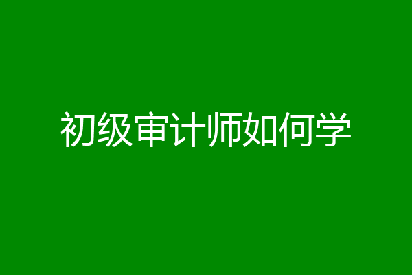 初级审计师如何学