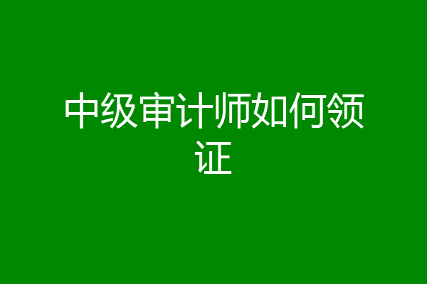 中级审计师如何领证