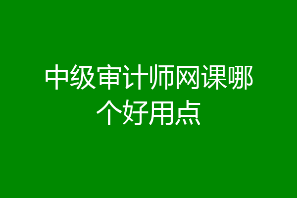 中级审计师网课哪个好用点
