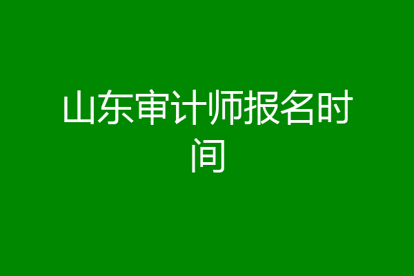 山东审计师报名时间