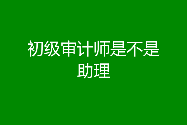 初级审计师是不是助理