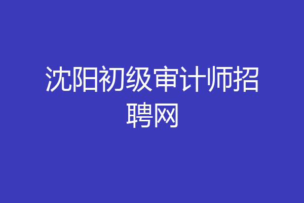 沈阳初级审计师招聘网
