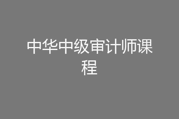 中华中级审计师课程