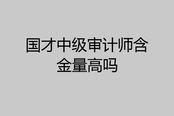 国才中级审计师含金量高吗