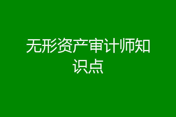 无形资产审计师知识点