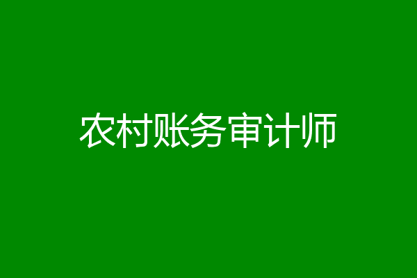 农村账务审计师