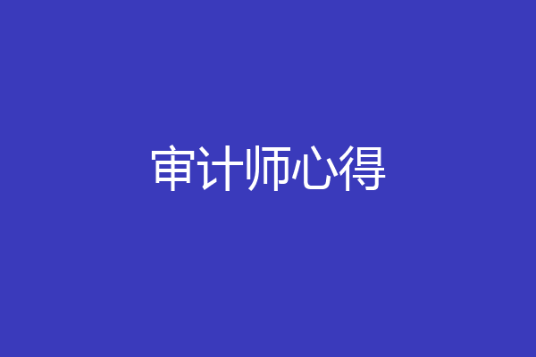 审计师心得