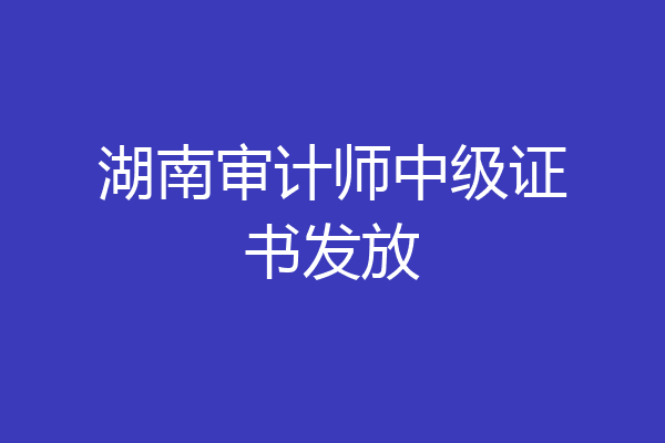 湖南审计师中级证书发放