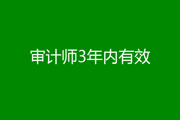 审计师3年内有效
