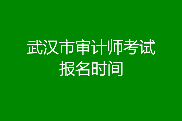 武汉市审计师考试报名时间