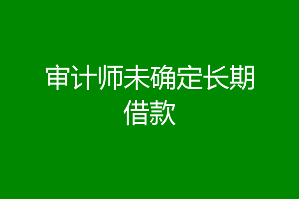 审计师未确定长期借款
