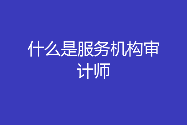 什么是服务机构审计师