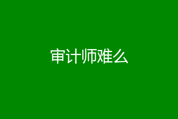 审计师难么