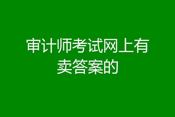 审计师考试网上有卖答案的