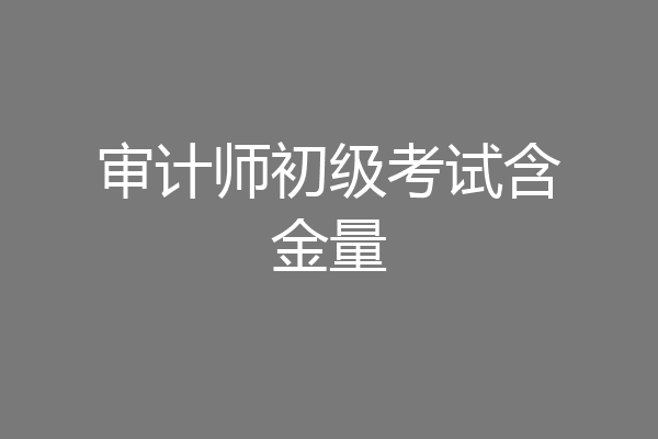 审计师初级考试含金量