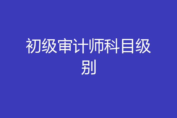 初级审计师科目级别