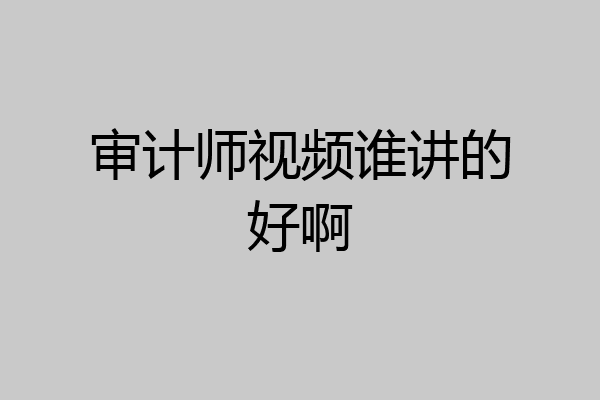 审计师视频谁讲的好啊