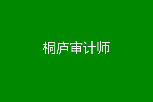 桐庐审计师