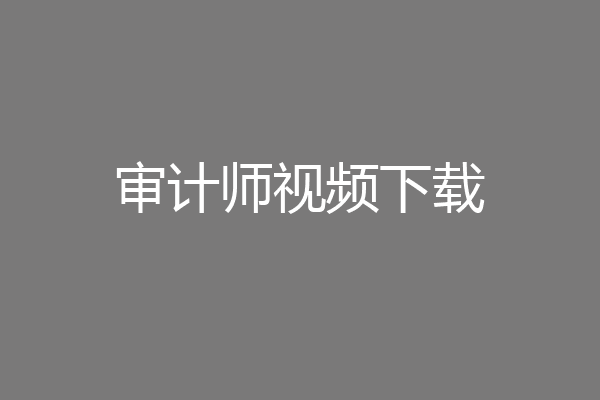 审计师视频下载
