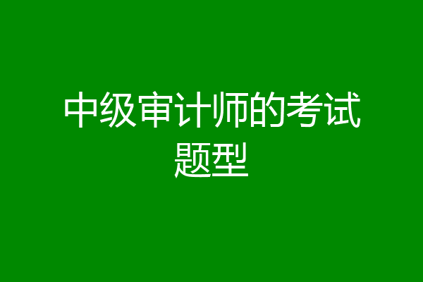 中级审计师的考试题型