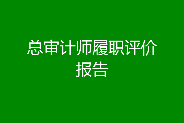 总审计师履职评价报告