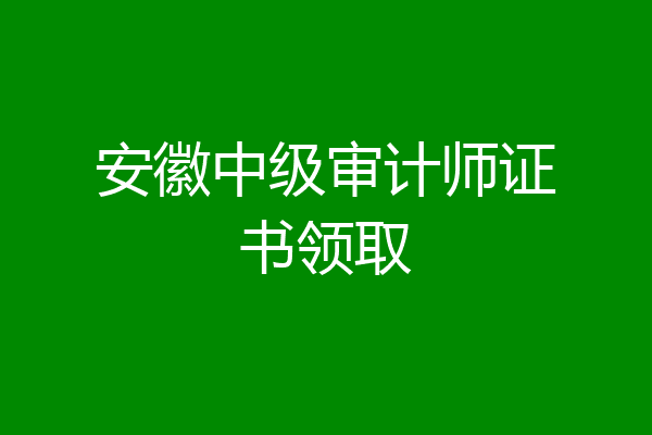 安徽中级审计师证书领取
