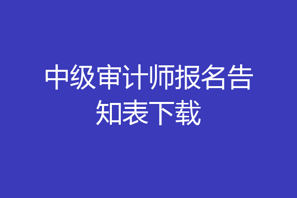 中级审计师报名告知表下载