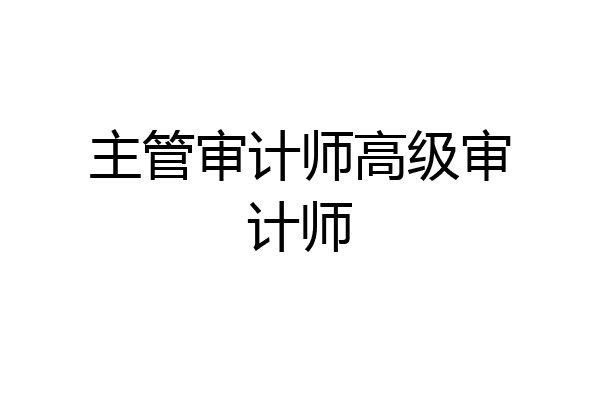 主管审计师高级审计师