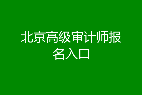 北京高级审计师报名入口