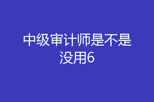 中级审计师是不是没用6