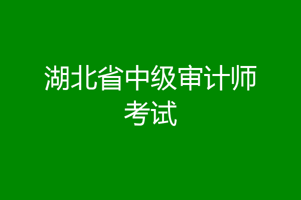 湖北省中级审计师考试
