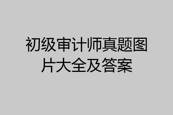 初级审计师真题图片大全及答案