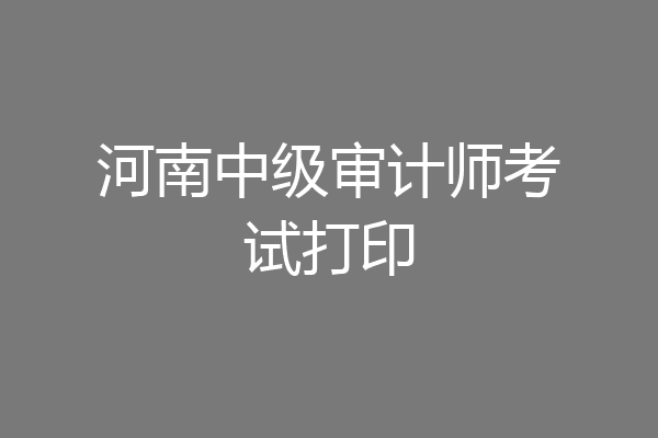 河南中级审计师考试打印