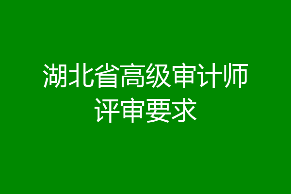 湖北省高级审计师评审要求