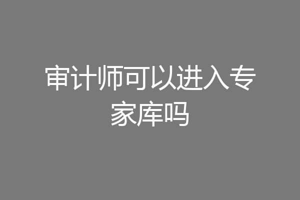 审计师可以进入专家库吗