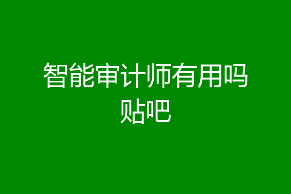智能审计师有用吗贴吧