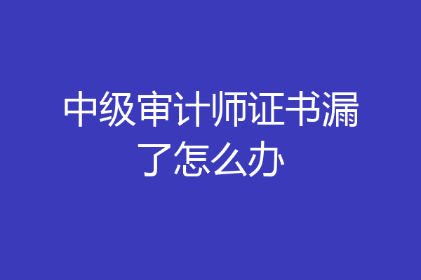 中级审计师证书漏了怎么办