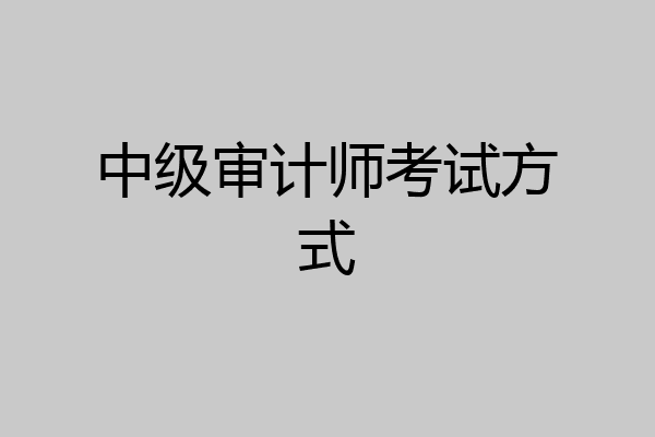 中级审计师考试方式
